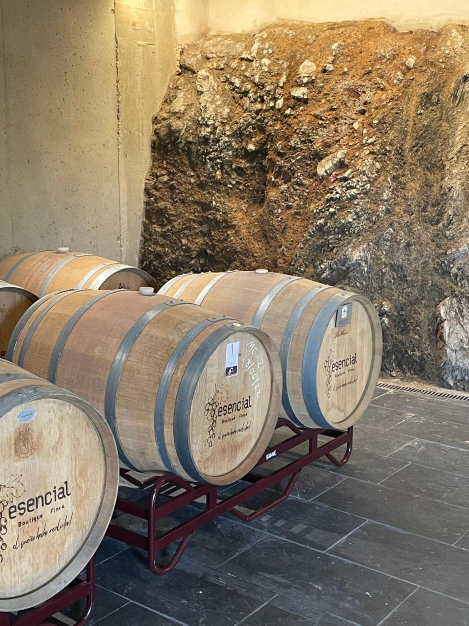 וילה פרנקה דל ביירסו Boutique Finca Esencial מראה חיצוני תמונה